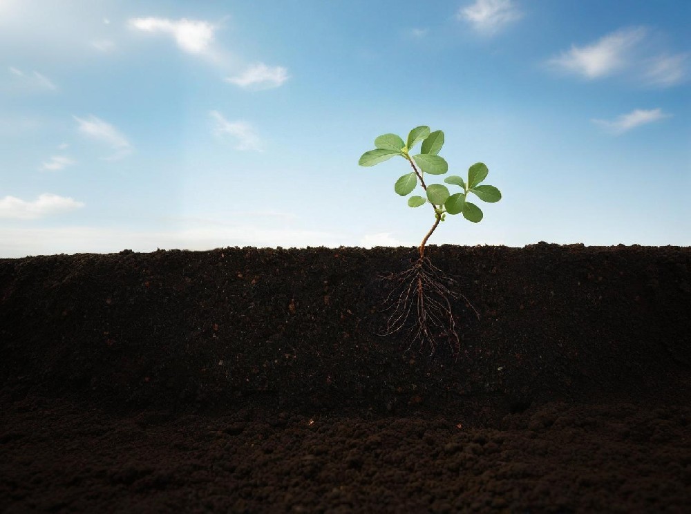 快猫在线观看入口環境檢測實驗室方案