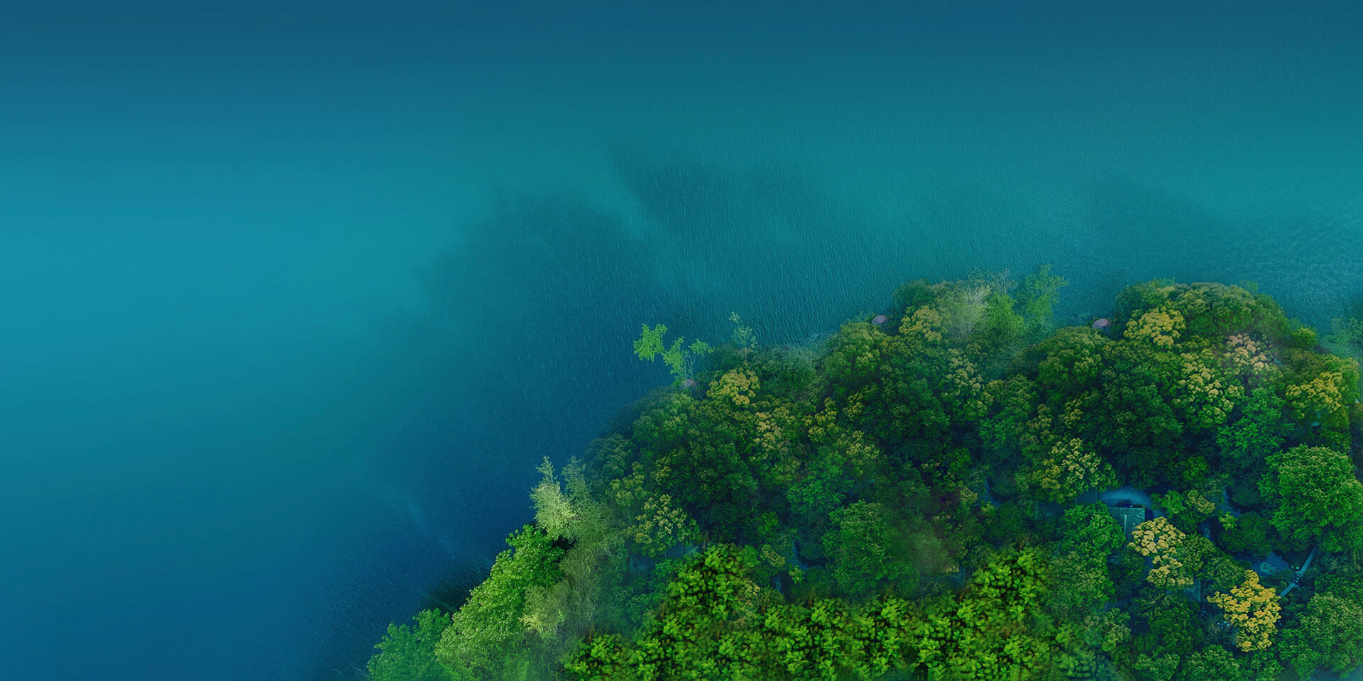 關於快猫视频回家导航