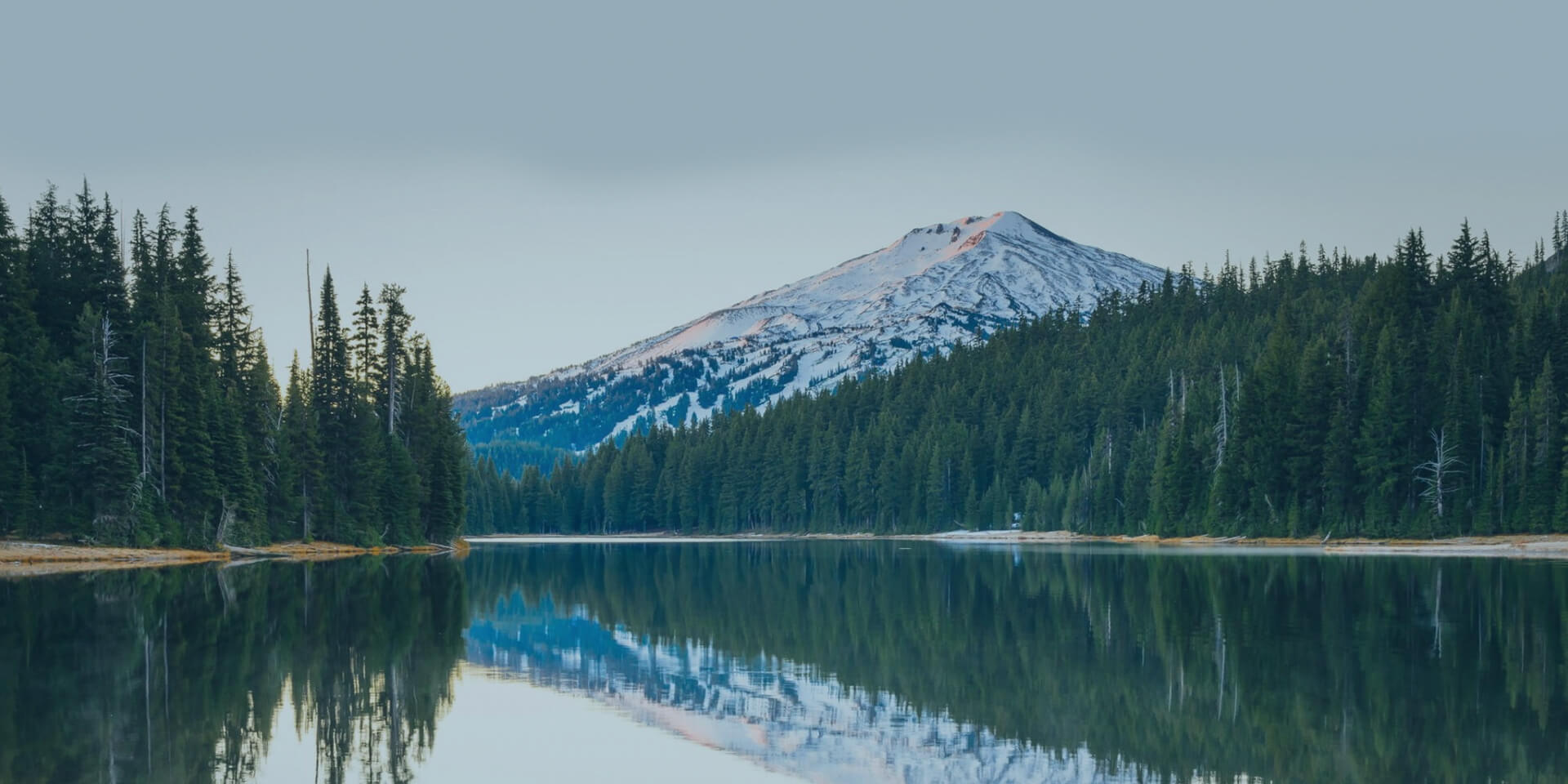 快猫短视频网页版